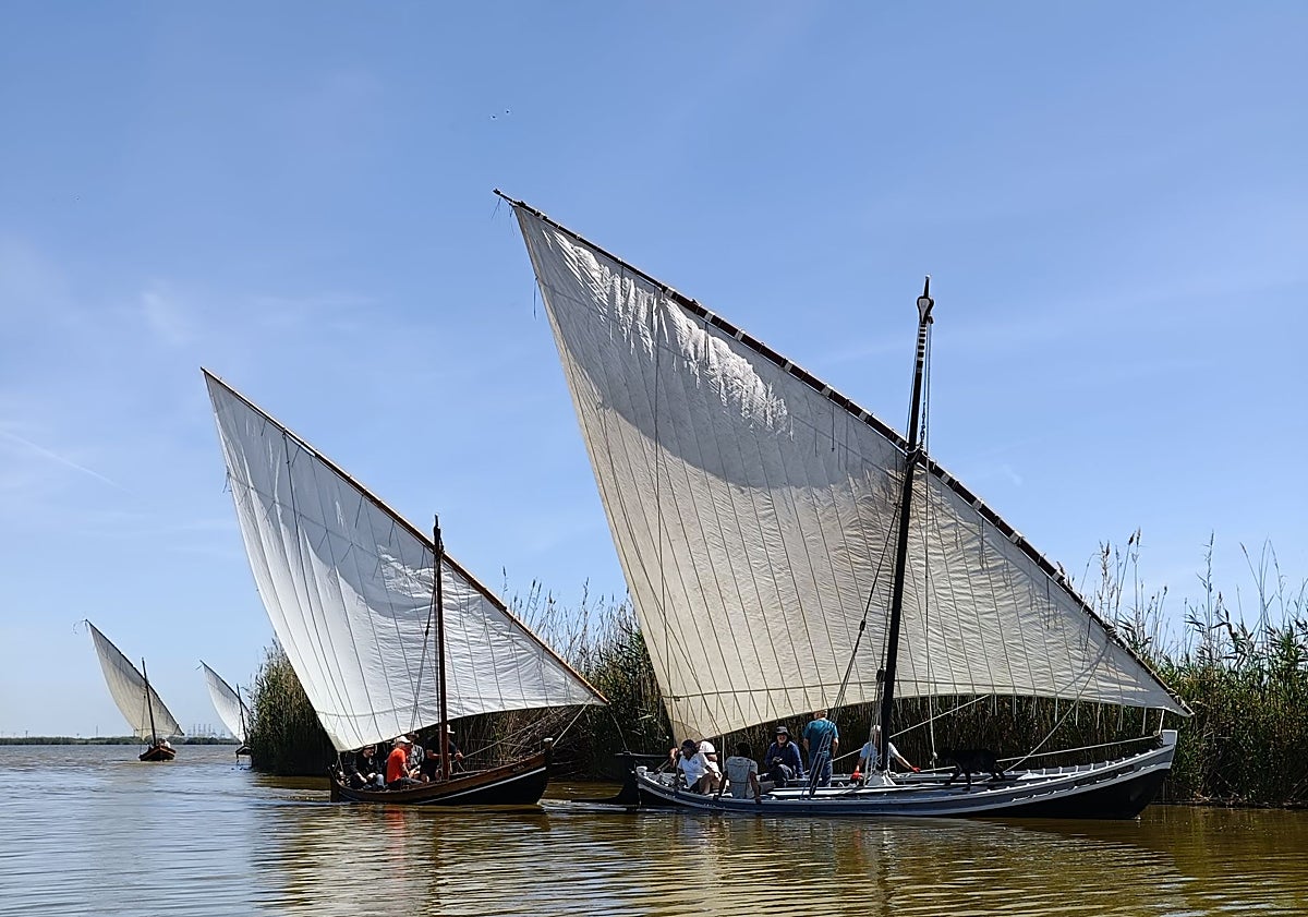 La Vela Latina Vuelve A Surcar La Albufera Las Provincias la-vela-latina-vuelve-a-surcar-la-albufera-las-provincias